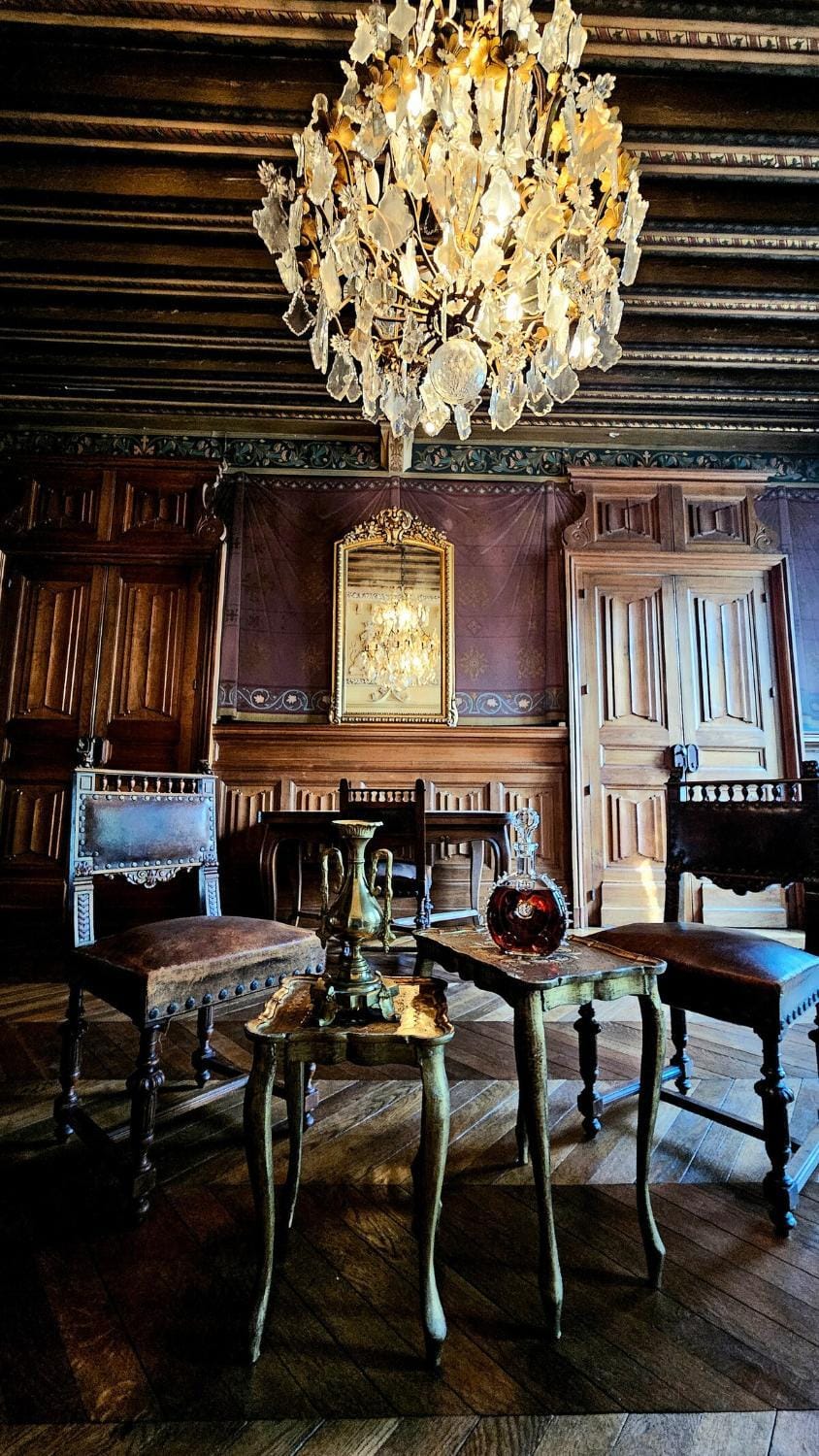 Château Louis XI en Beaujolais Villa in Auvergne-Rhône-Alpes