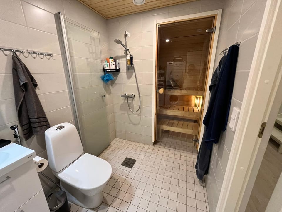 Shower, Toilet, Bathroom, towels