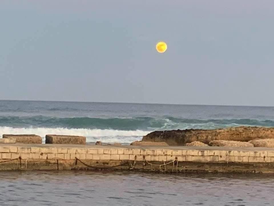 Natural landscape, Sea view