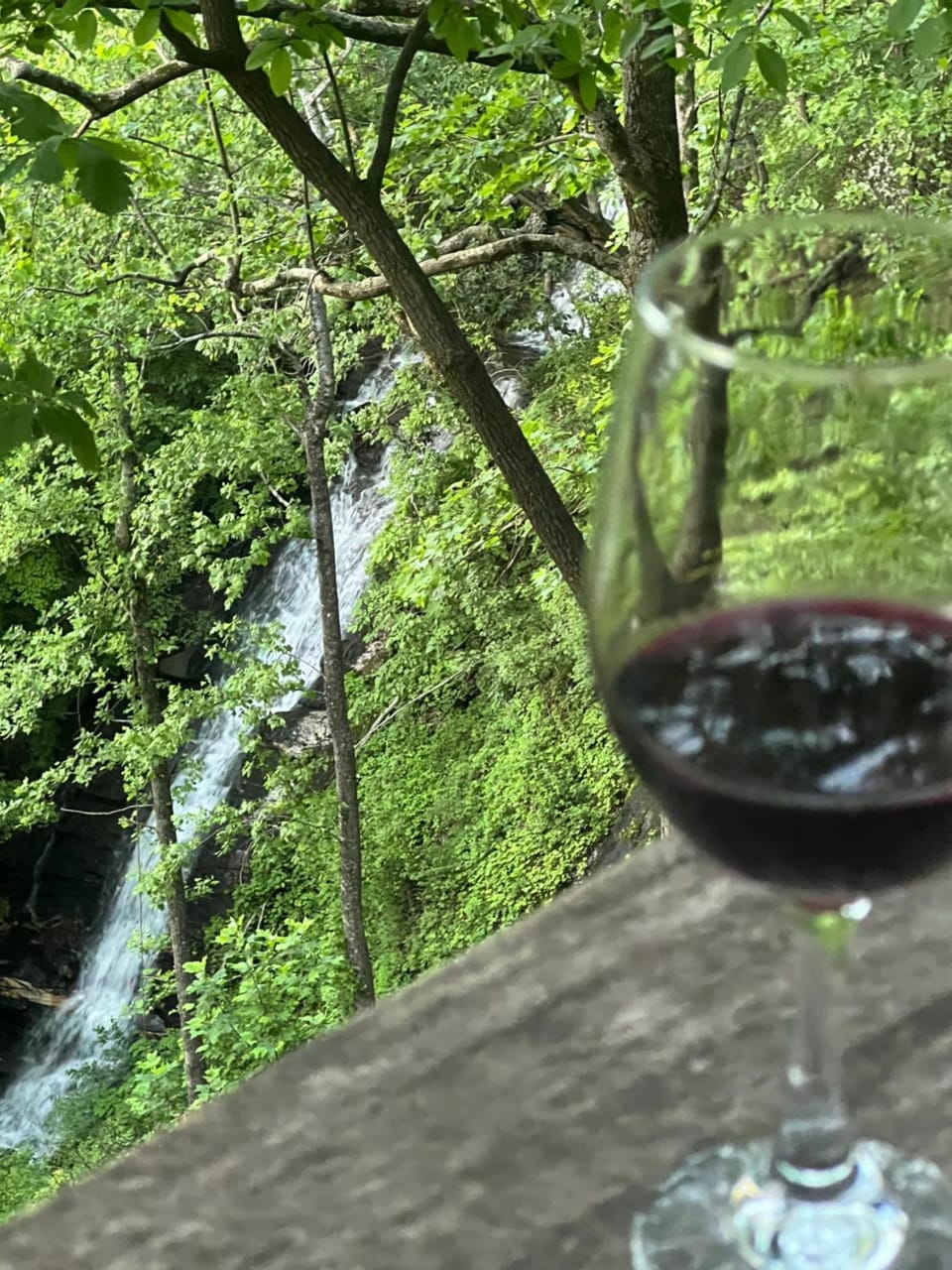 Waterfall Overlook at Bearfoot Falls House in Georgia