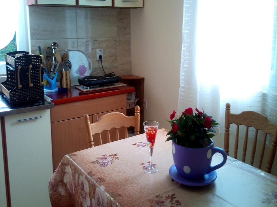 Kitchen or kitchenette, Photo of the whole room