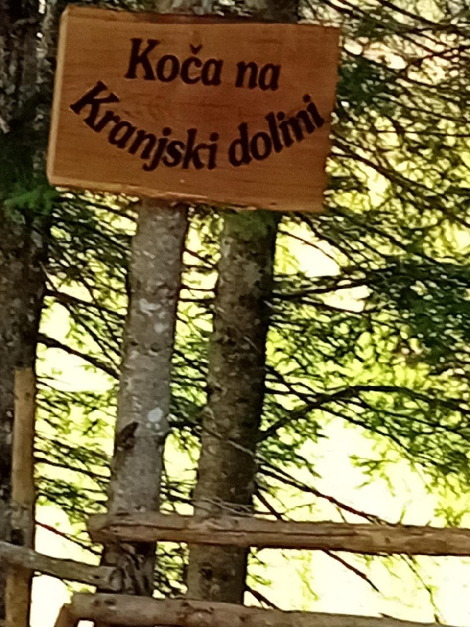 Logo/Certificate/Sign