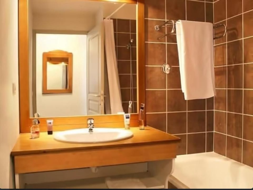 Appartement chalet à la montagne Apartment in Auvergne-Rhône-Alpes