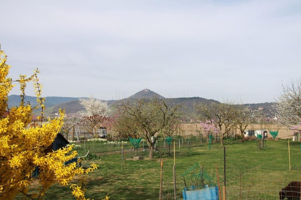 Spring, Day, Natural landscape, Mountain view