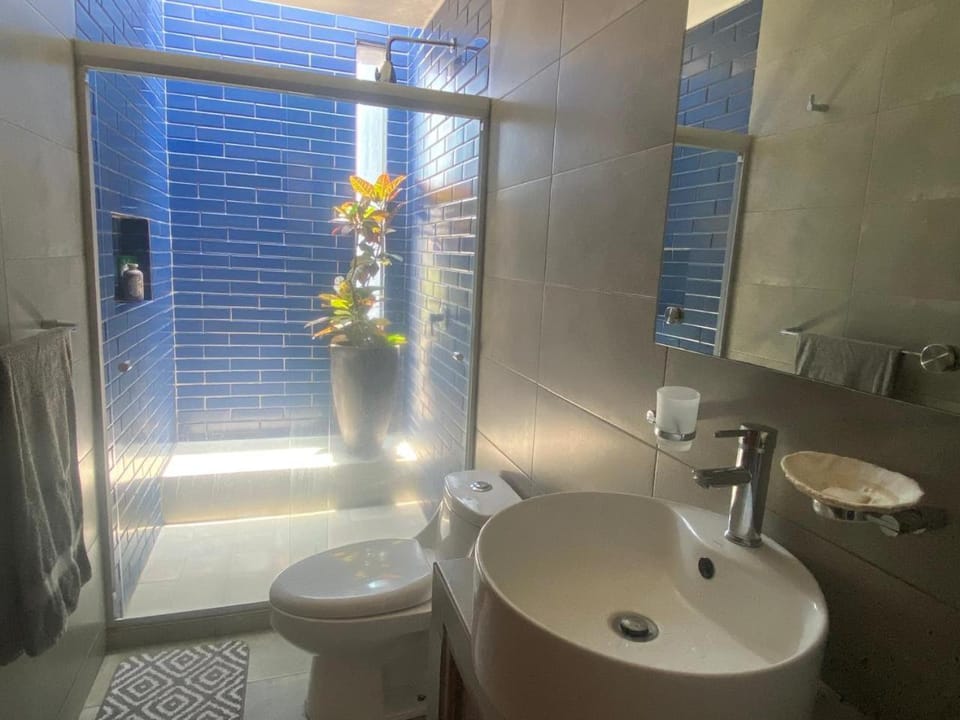 Shower, Toilet, Bathroom, towels