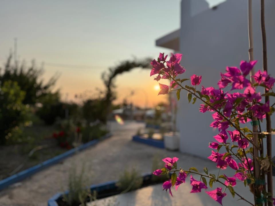 El Greco Apartments in Tigaki, near the sea - No 2 Apartment in Kos, Greece