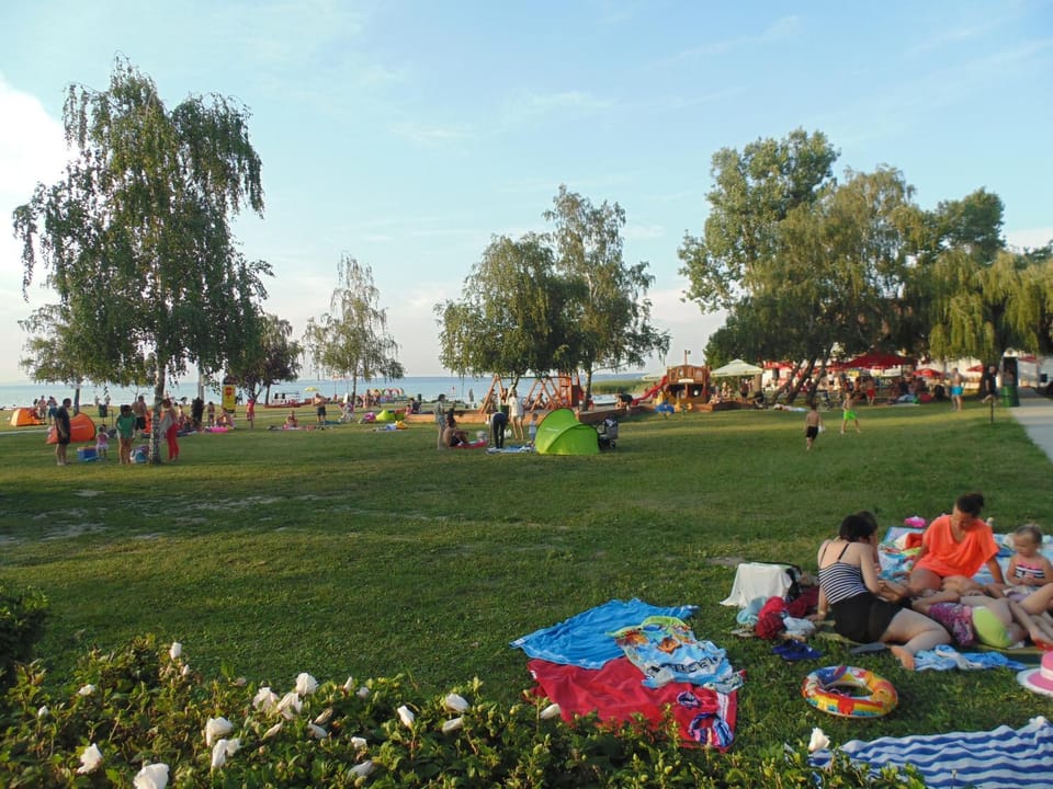 Activities, Aqua park
