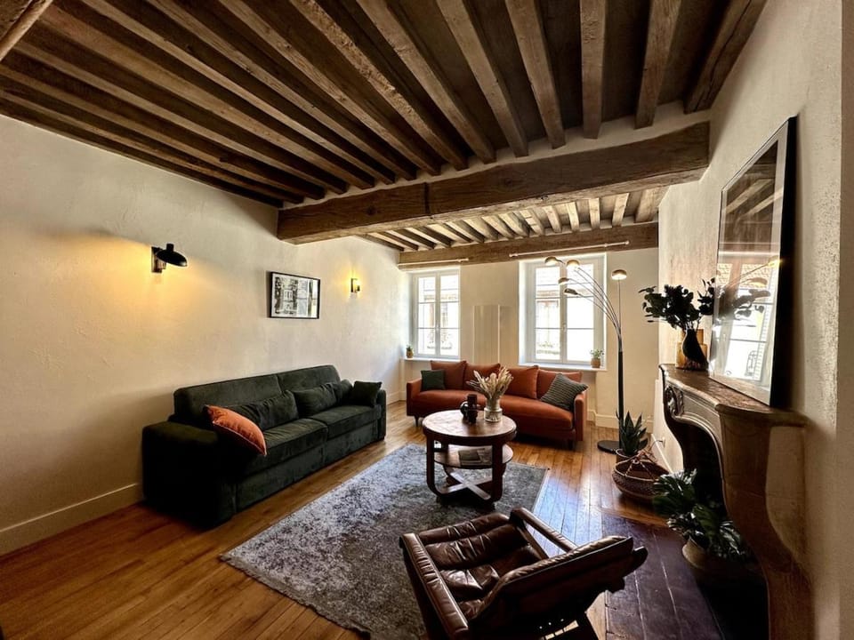 Dijon Hypercentre Apartment Apartment in Dijon