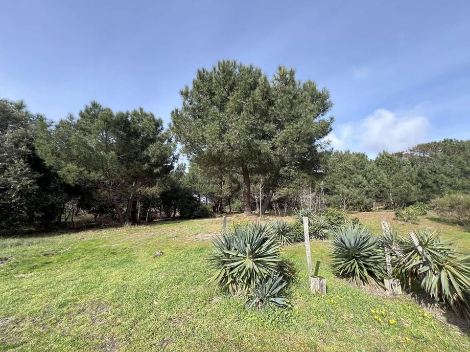 Résidence 058-montalivet - 058 - Petit coin paisible à côté des pins et à 200m de l'Océan MAE-4871 Villa in Vendays-Montalivet