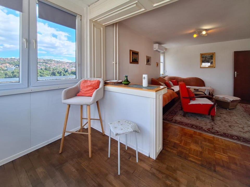 Apartman Pasic Apartment in Sarajevo