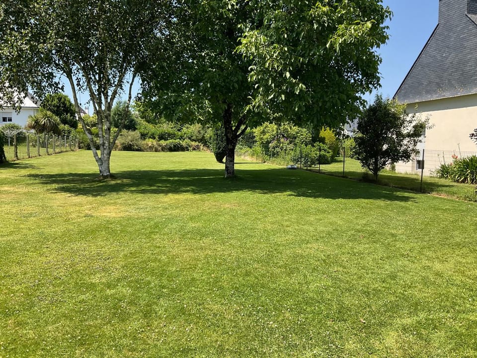 Natural landscape, Garden, Garden view