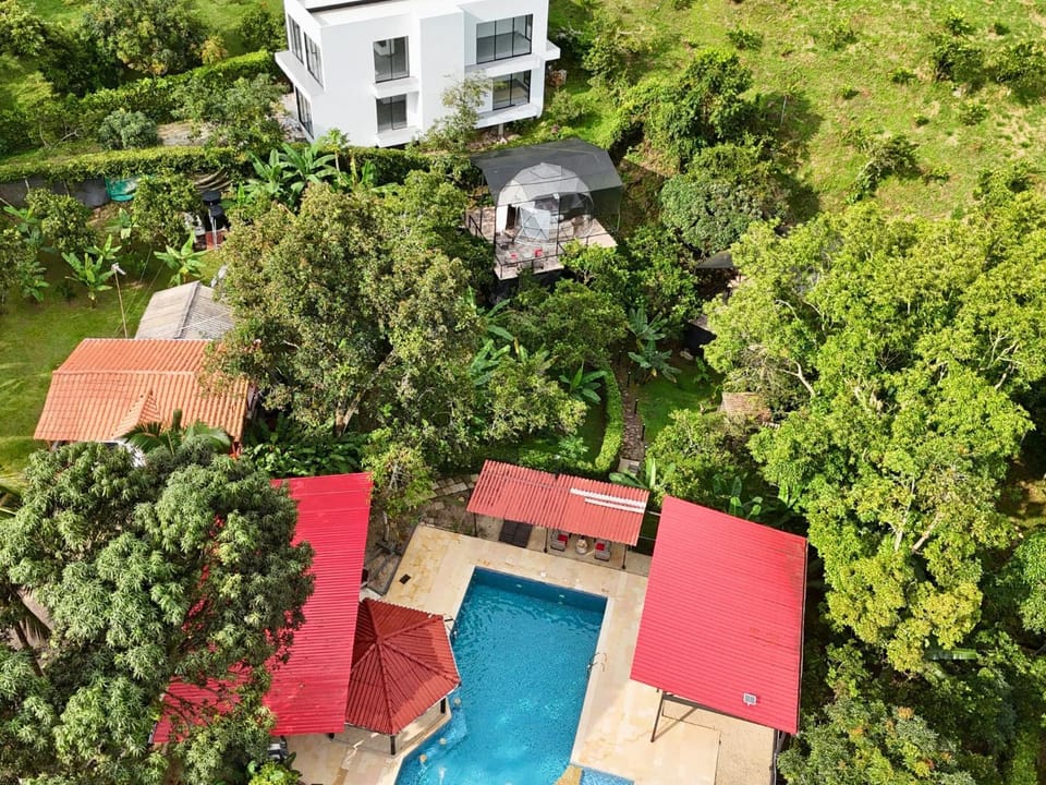 Property building, Day, Bird's eye view, Garden view, Pool view