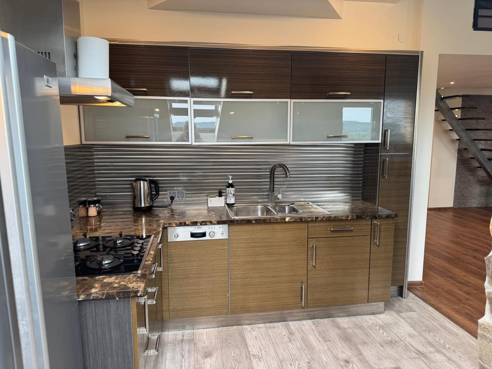 Kitchen or kitchenette, dishwasher, stove