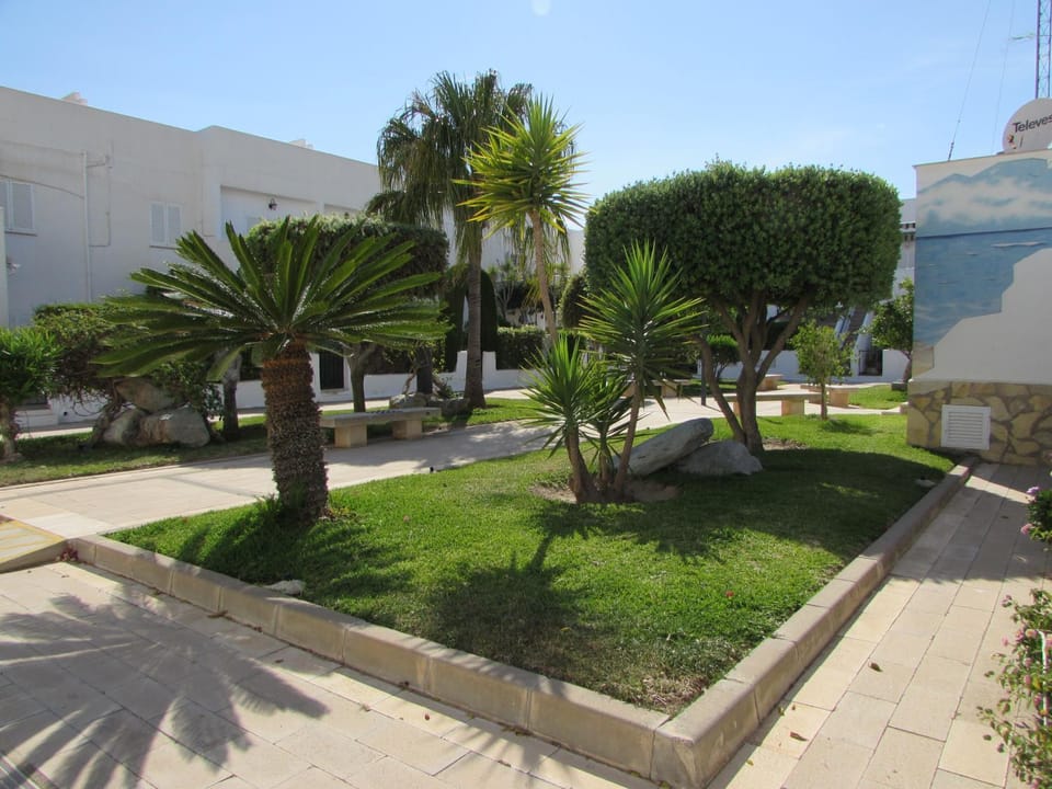 Property building, Day, Garden, Garden view
