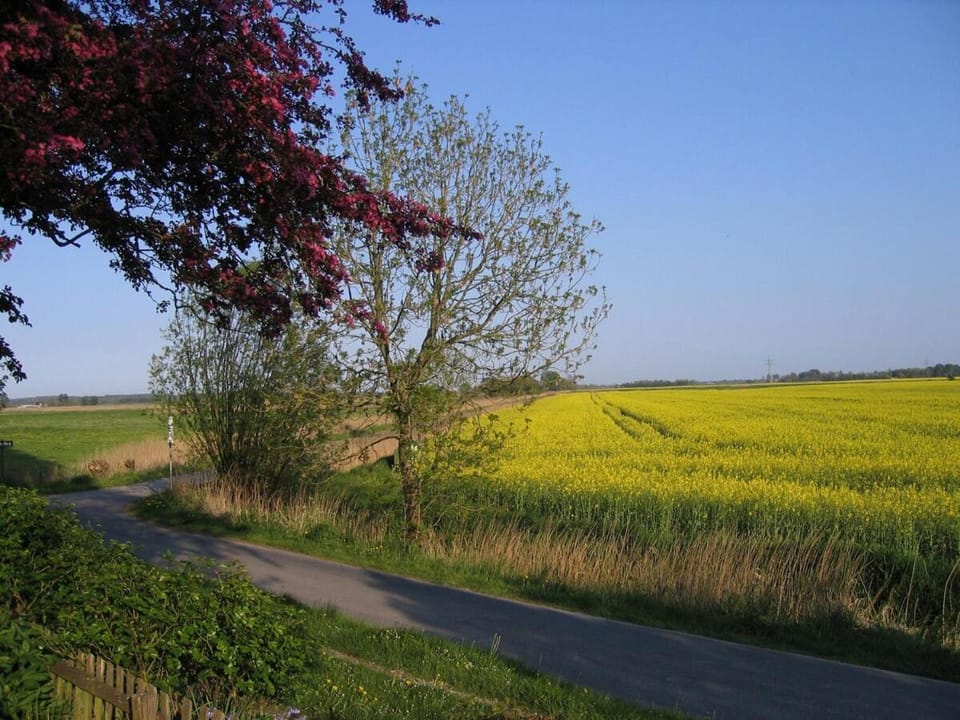 Ferien im Bauerngarten Apartment in Nordfriesland