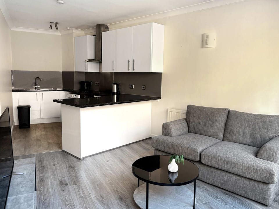 Kitchen or kitchenette, Living room, Seating area, Dining area, stove