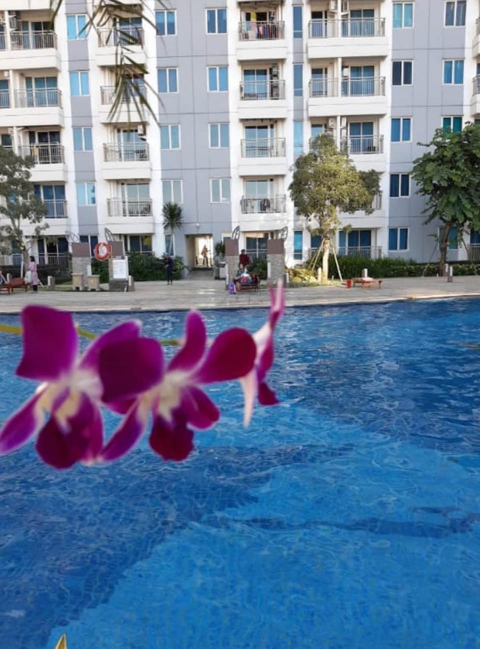 Pool view, Swimming pool