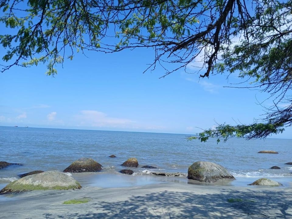 Natural landscape
