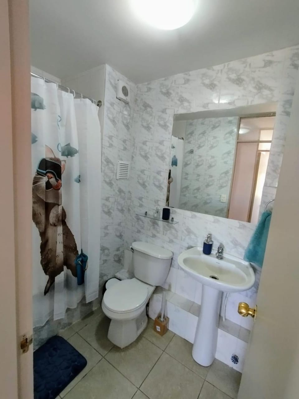 Tu Hogar en Quilpué Apartment in Santiago Metropolitan Region