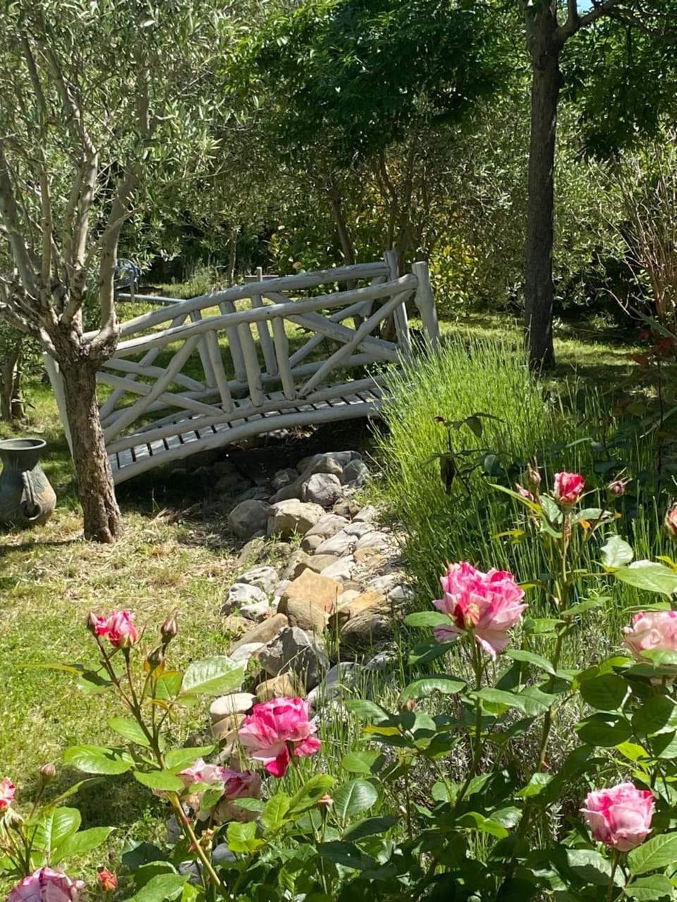 Garden view