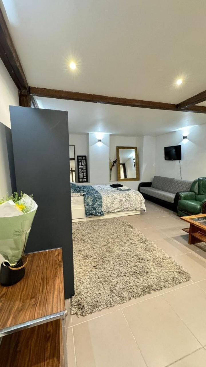 Bed, TV and multimedia, Living room, Photo of the whole room, Seating area, Bedroom