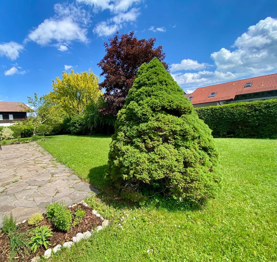 Schwanennest am Chiemsee Apartment in Grassau