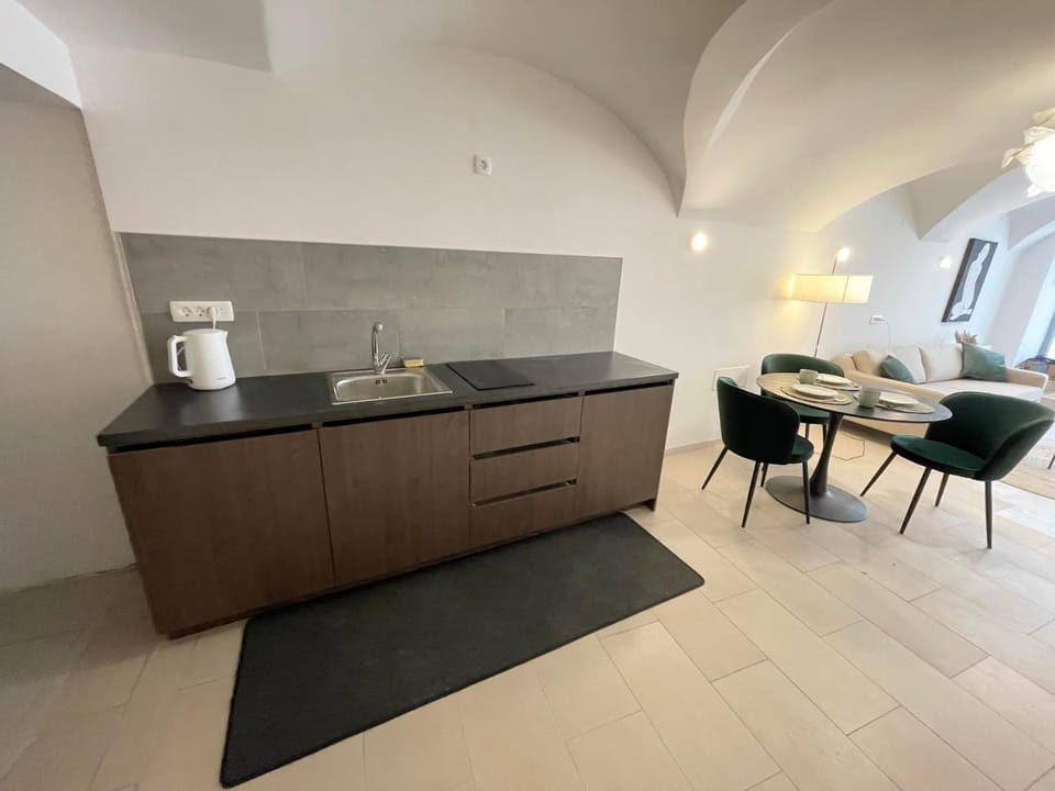 Art apartment Kranj Apartment in Slovenia