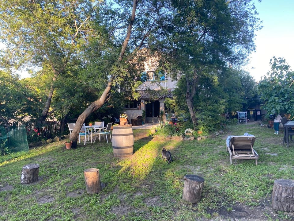 Spring, Day, Natural landscape, Garden, Garden view