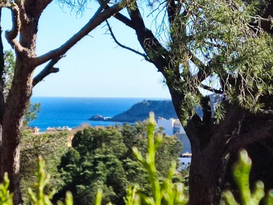 Natural landscape, Sea view