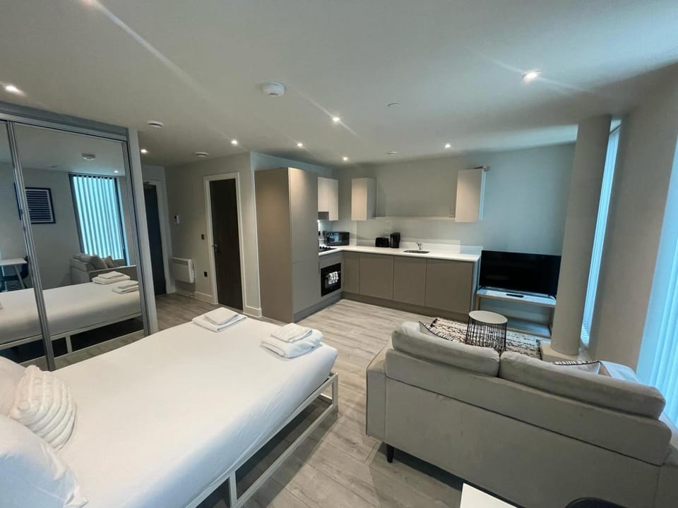 Bed, TV and multimedia, Kitchen or kitchenette, Living room, Photo of the whole room, Seating area, Bedroom