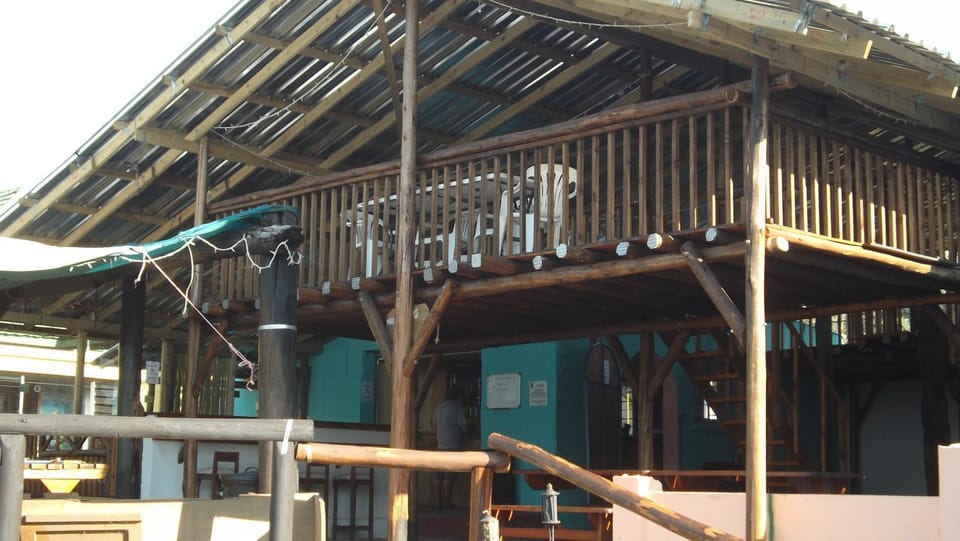 Jungle Monkey Backpackers Hostel in Eastern Cape