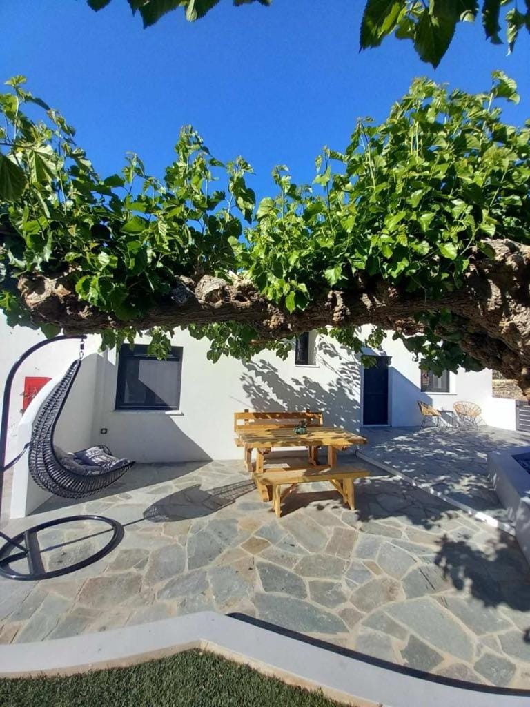 Patio, Day, Garden, Garden view