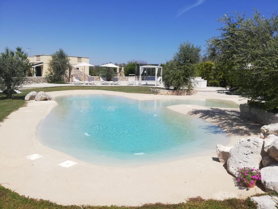 Natural landscape, Garden, Pool view, Swimming pool, sunbed