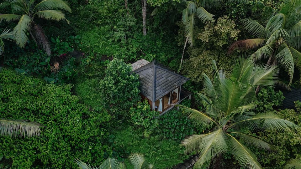 Property building, Natural landscape, Garden, Bedroom, Garden view