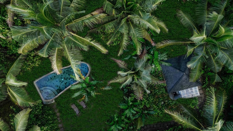 Spring, Day, Natural landscape, Bird's eye view, Garden, Pool view