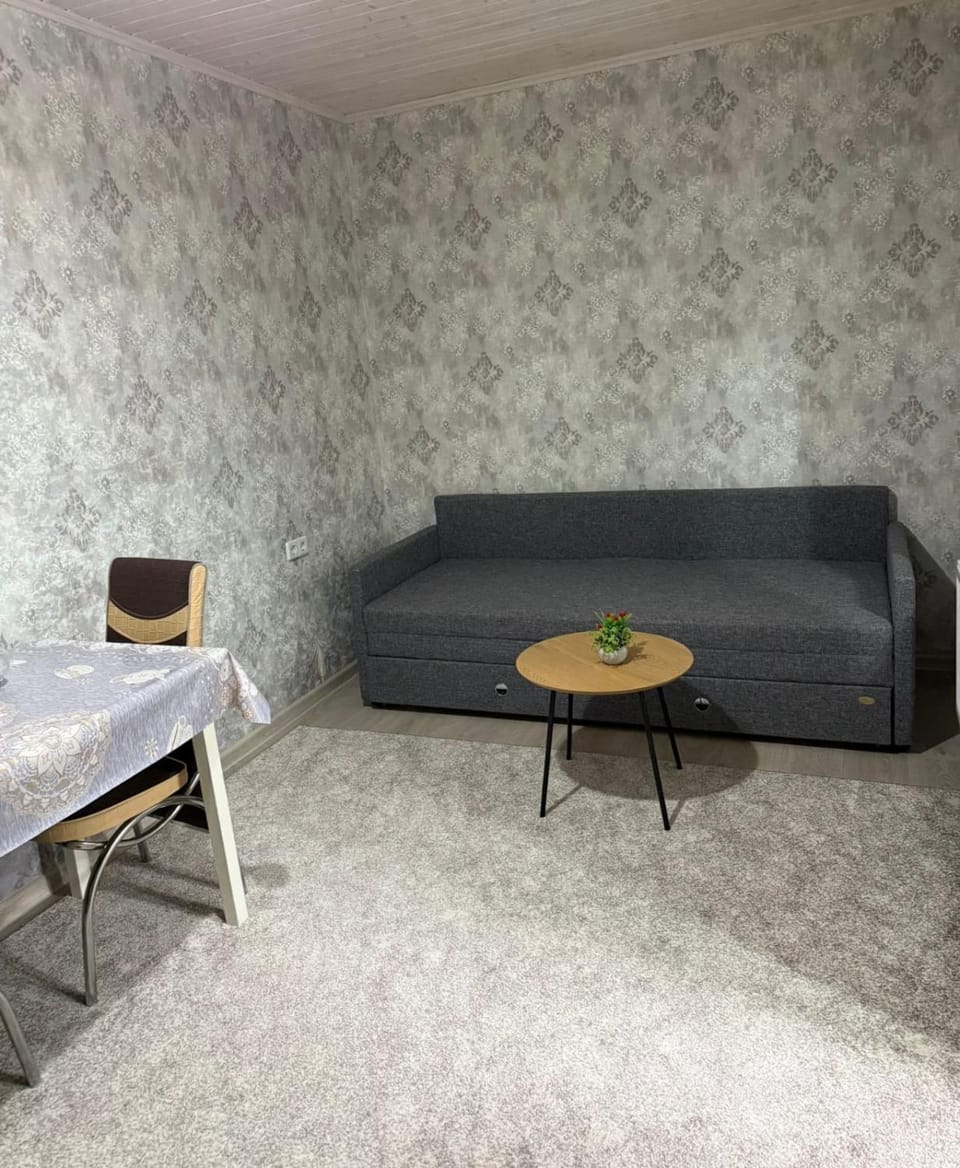 Private Apt style Cottage in Comrat Parking WiFi House in Moldova