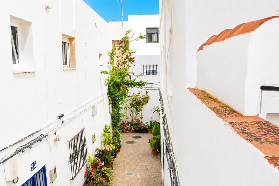 El capricho del Olivo Apartment in Conil de la Frontera