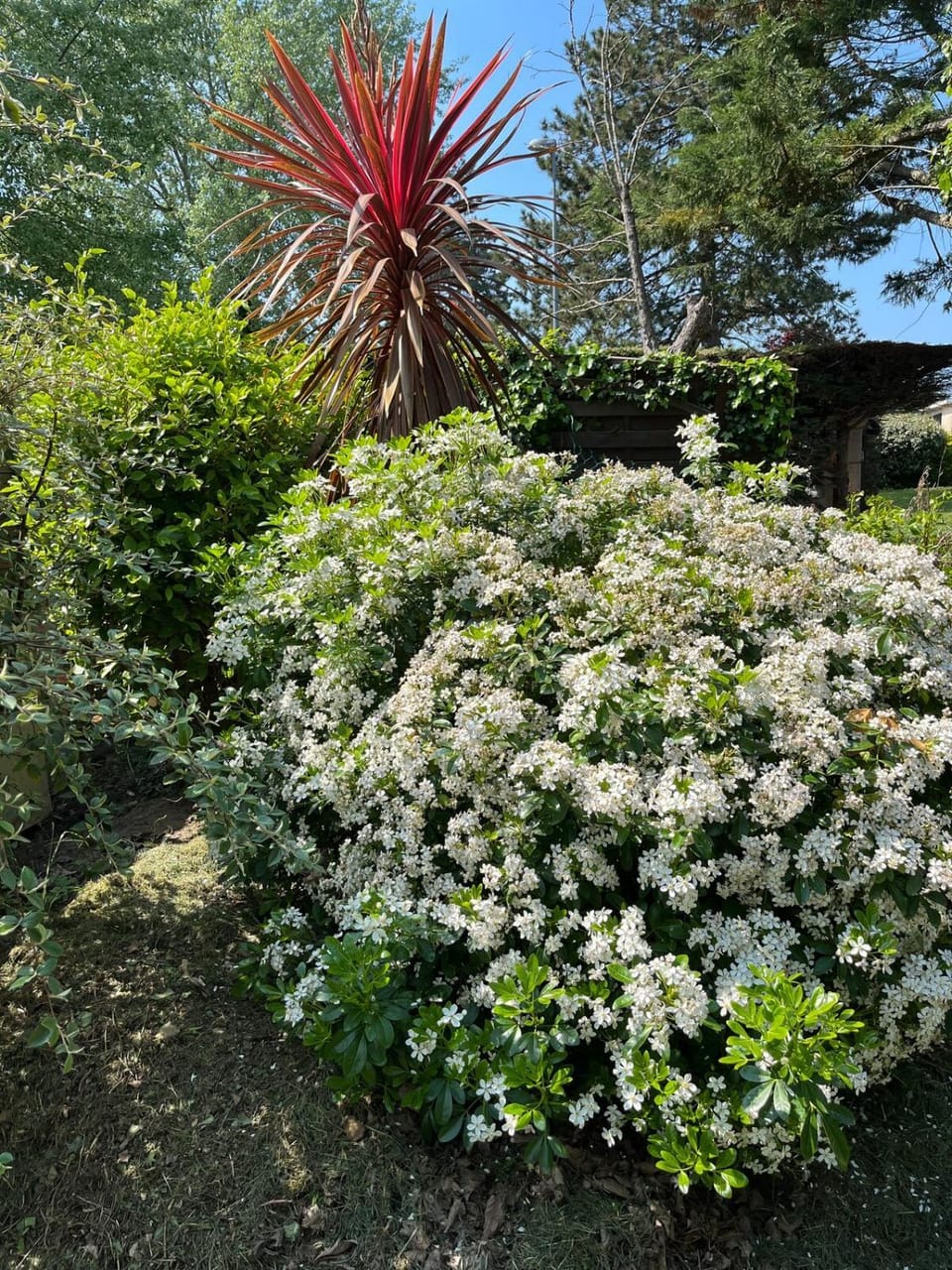 Le Grand Air House in Granville