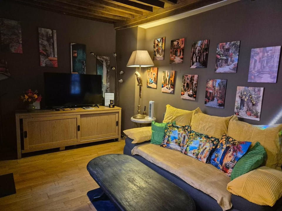 Le Cosy de Cryslor climatisé dans le vieux Chalon médiéval Apartment in Bourgogne-Franche-Comté