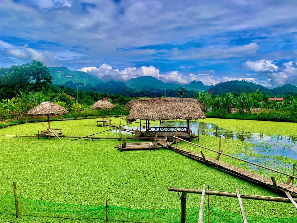 Day, Natural landscape, Garden, Garden view, Lake view, Mountain view