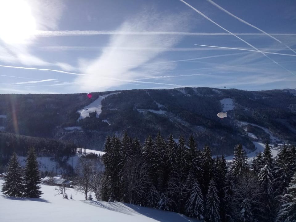 Winter, Entertainment