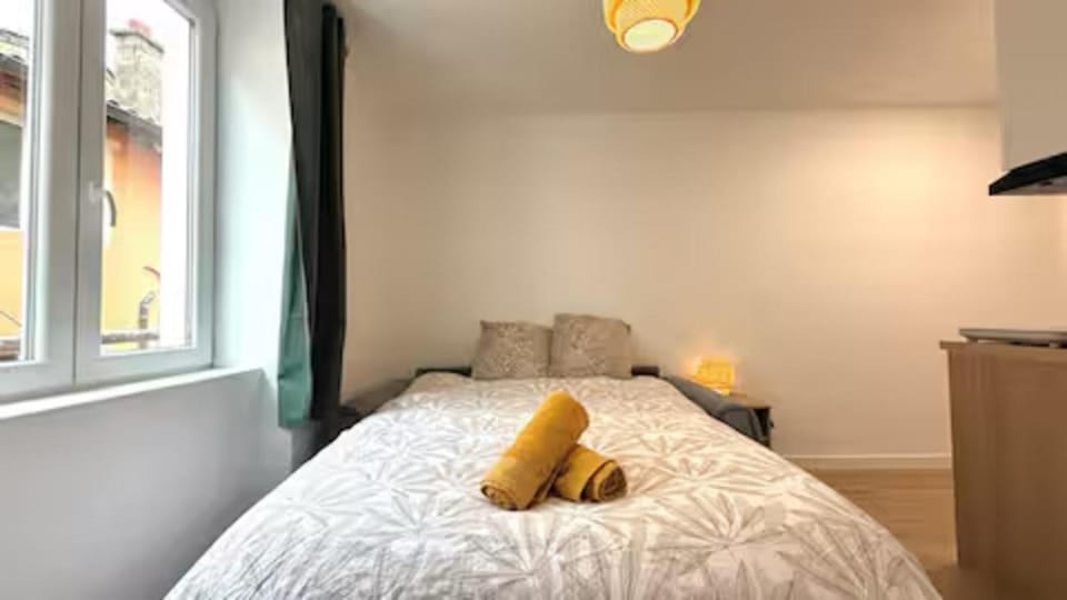 Le Confortable Centre Ville Apartment in Bourgogne-Franche-Comté