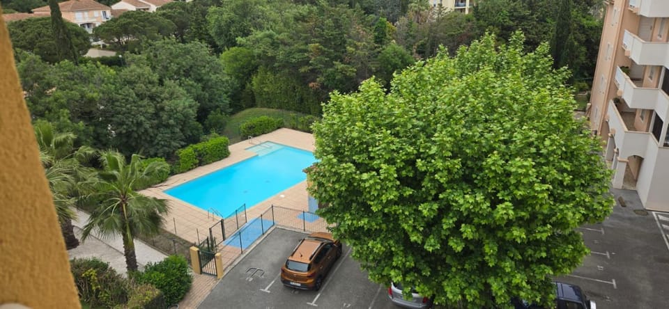 Garden view, Swimming pool