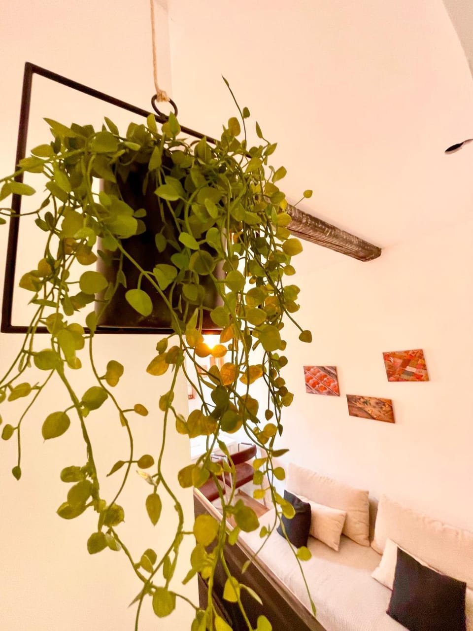 Studio Nemausus Apartment in Nimes
