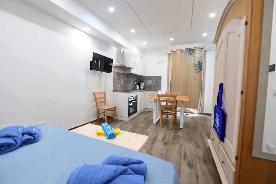 Bed, TV and multimedia, Kitchen or kitchenette, Living room, Photo of the whole room, Seating area, Dining area, Bedroom, minibar, oven, stove