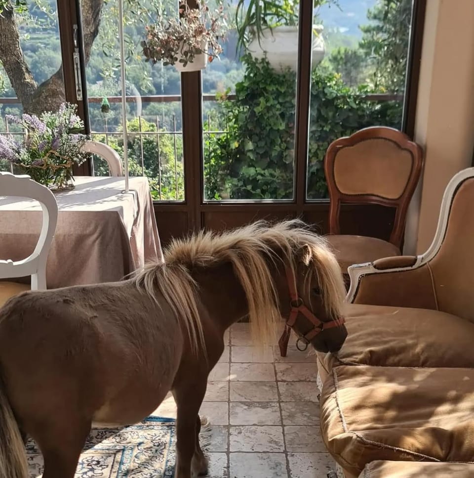 La Corte Del Gallo Quality BeB nel verde Bed and Breakfast in Liguria
