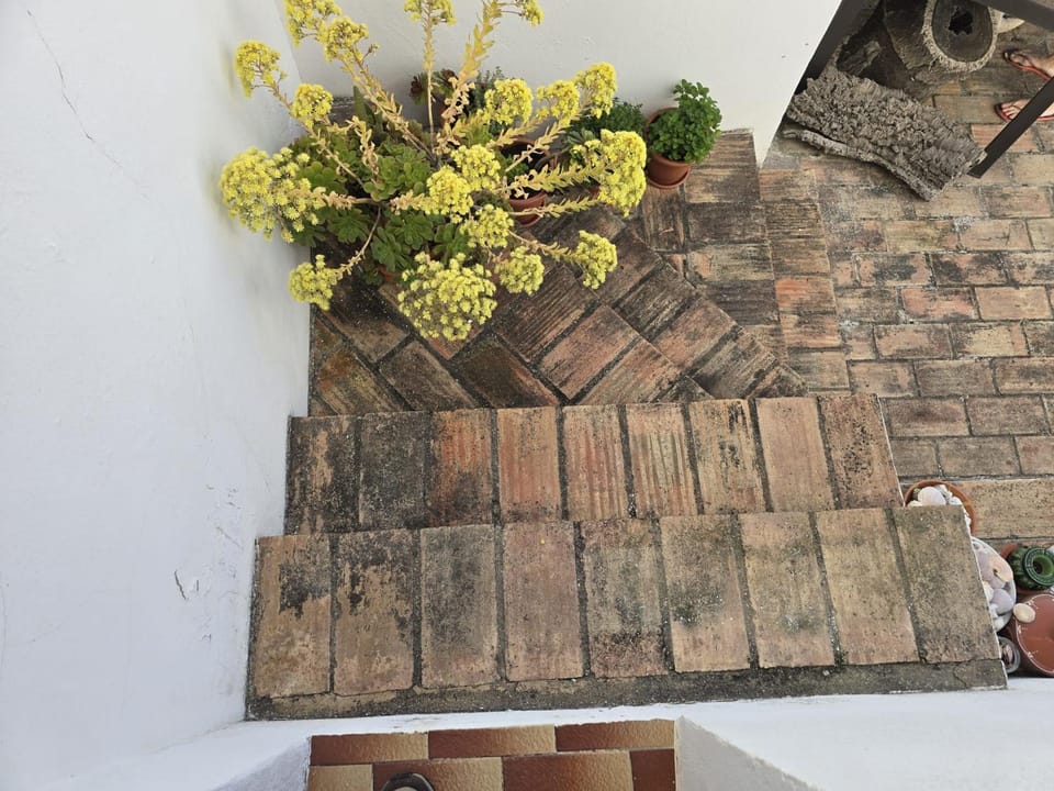 Paraíso Escondido House in Faro District