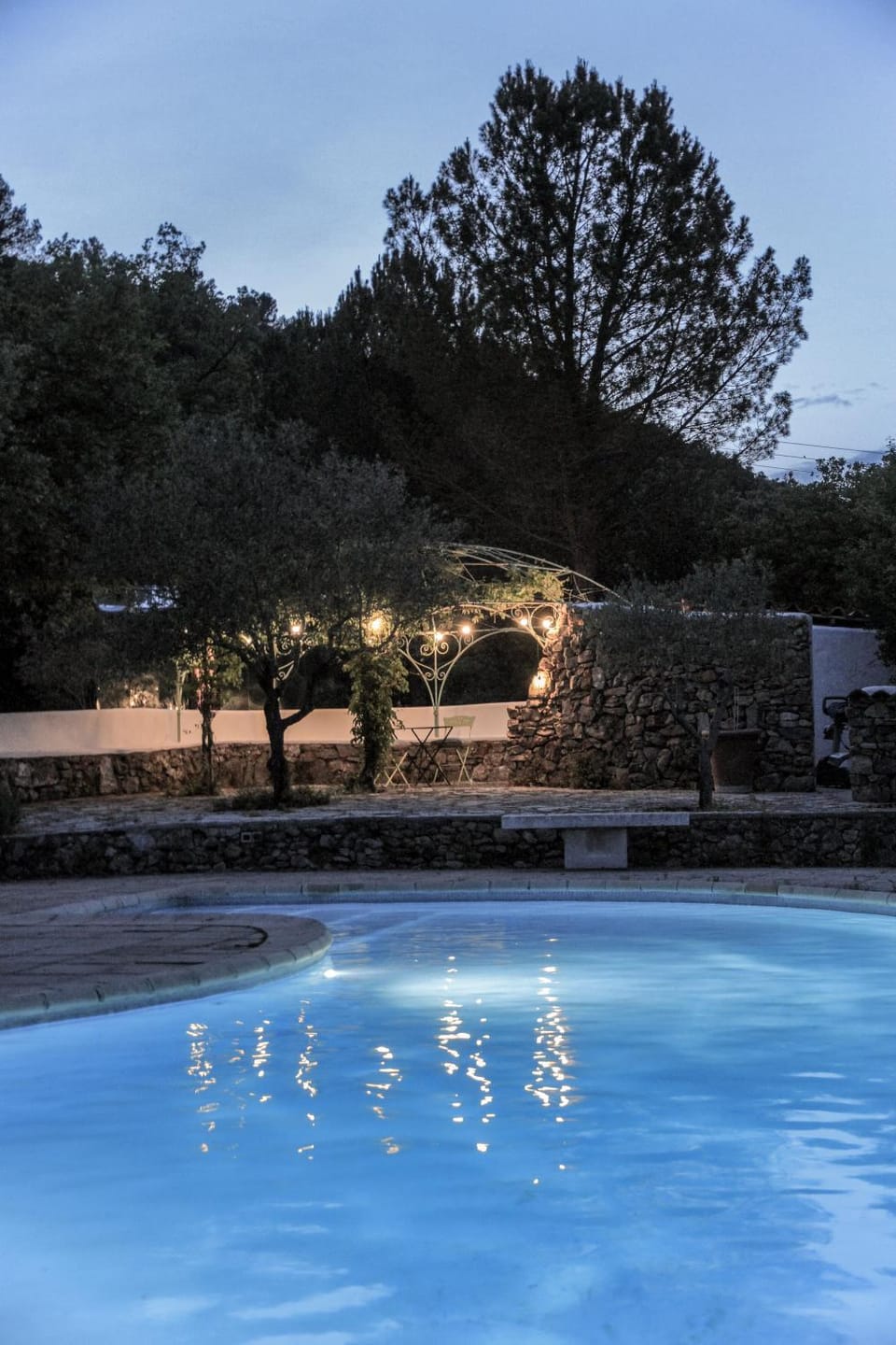 Night, Natural landscape, Garden, Pool view, Swimming pool