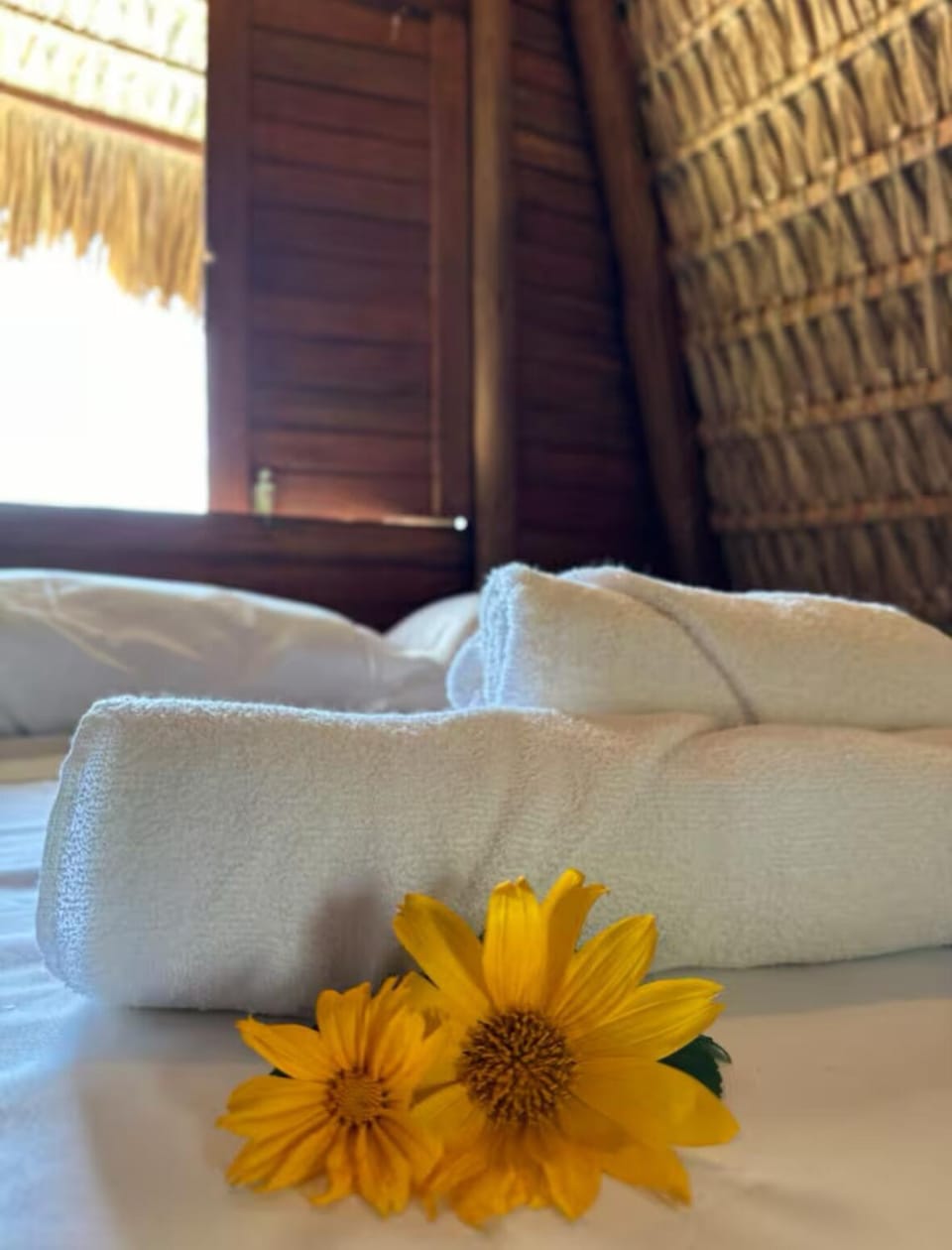 OccA Pipa - Cabana PicaPau House in Pipa Beach