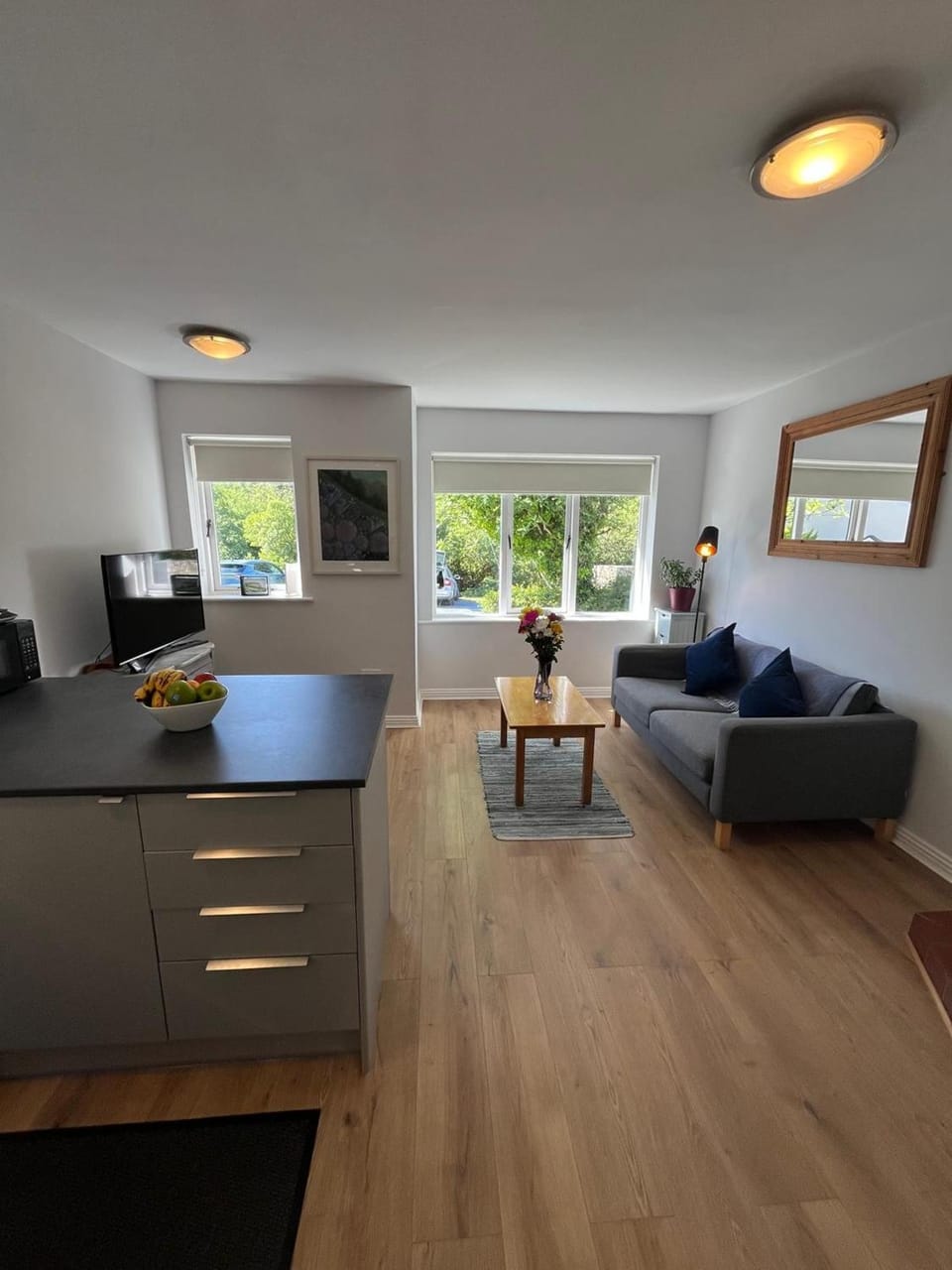 Communal lounge/ TV room, Living room